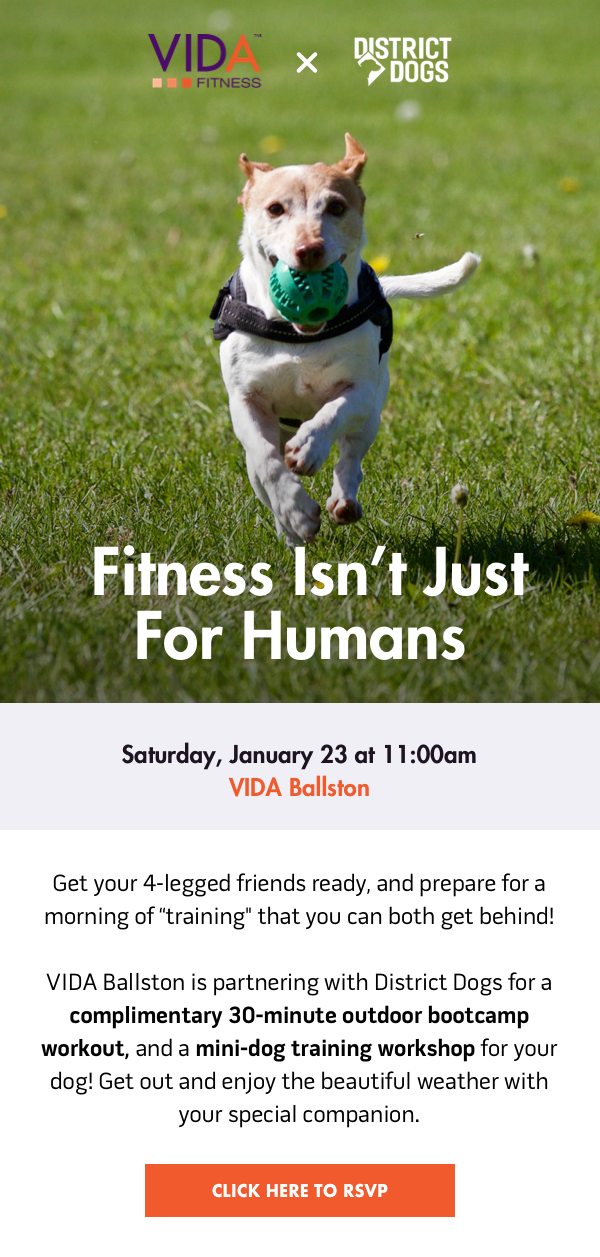 fitness-isn-t-just-for-humans-district-dogs