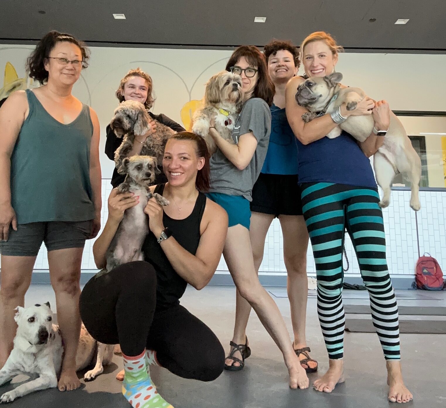 DC Puppy Yoga