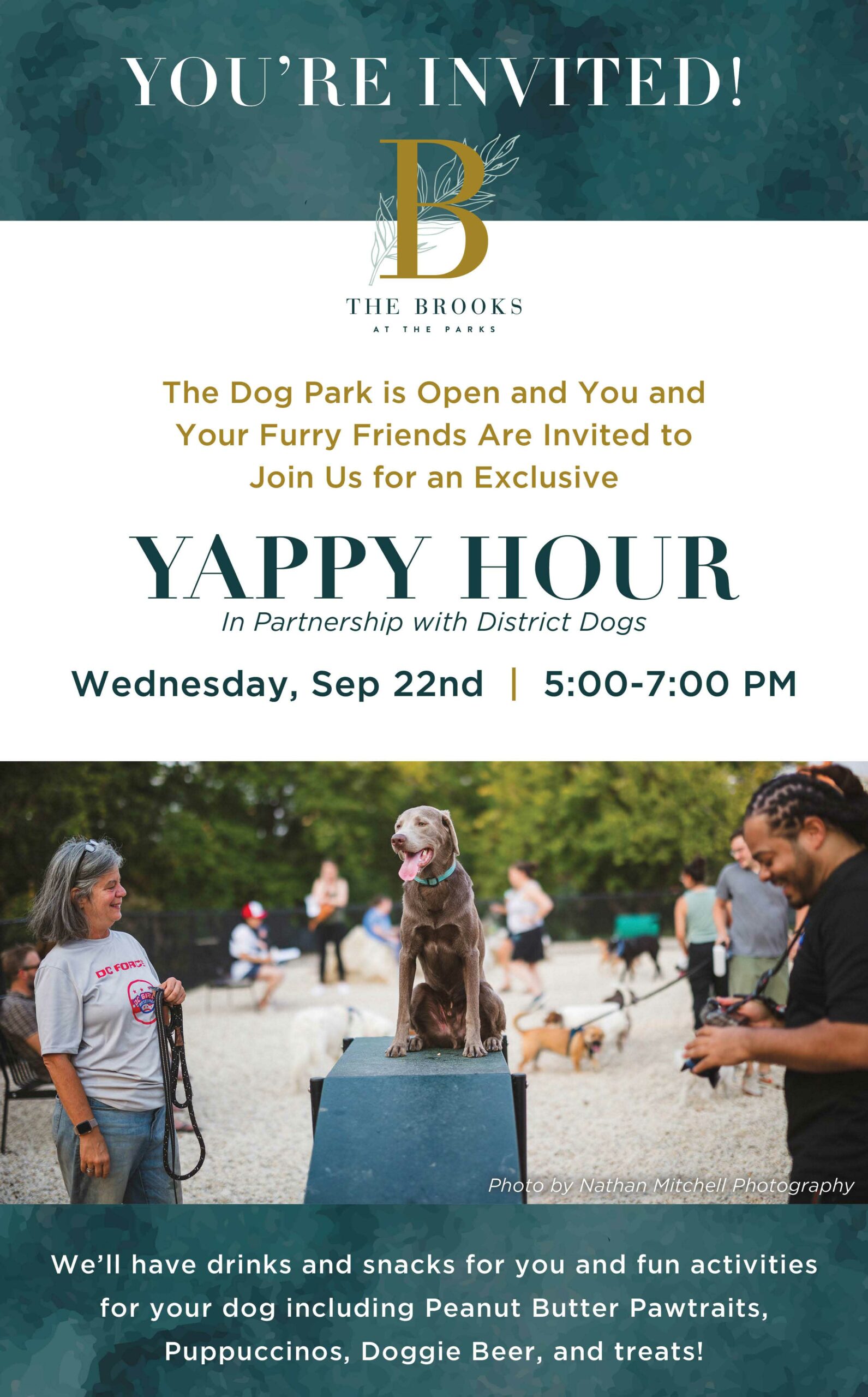 Mark your calendars friends. Yappy Hour with @districtdog is back! Grab  your furry friends and come hang on the patio this Thursday…