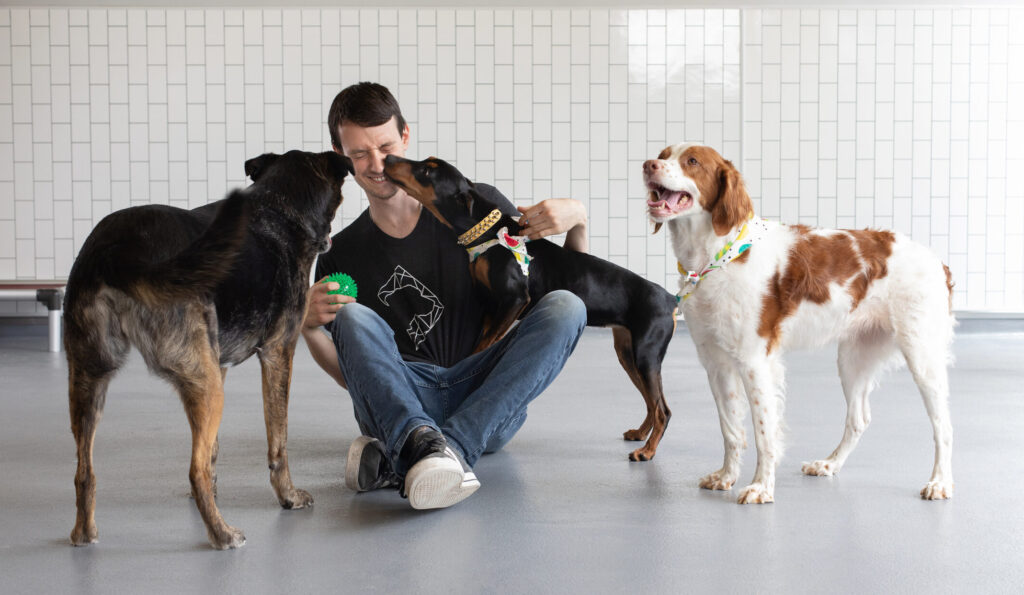 District Dogs Playtime