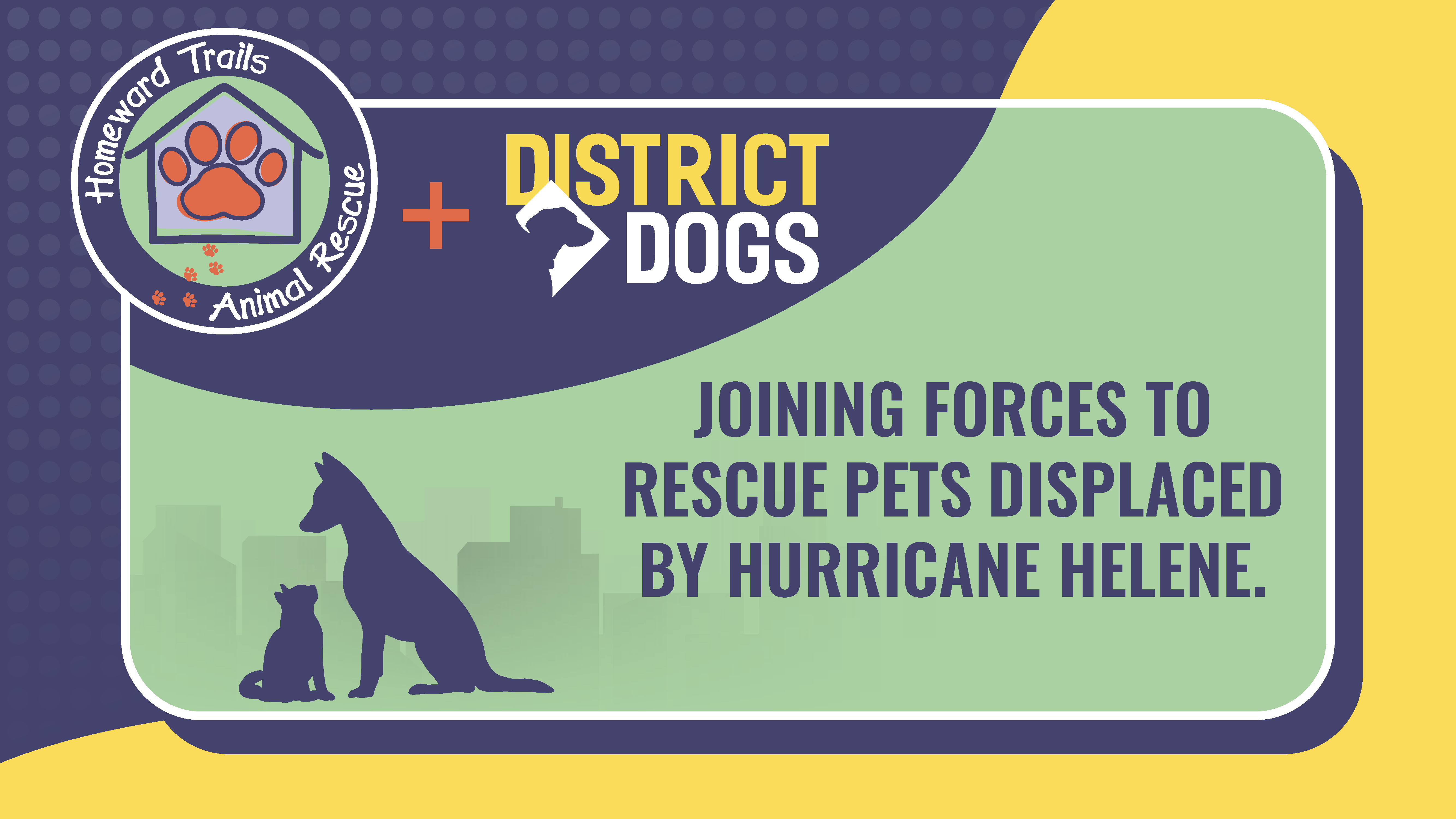 District Dogs Homeward Trails