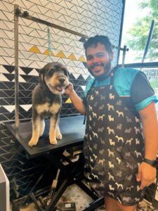 Greg the Groomer Arlington
