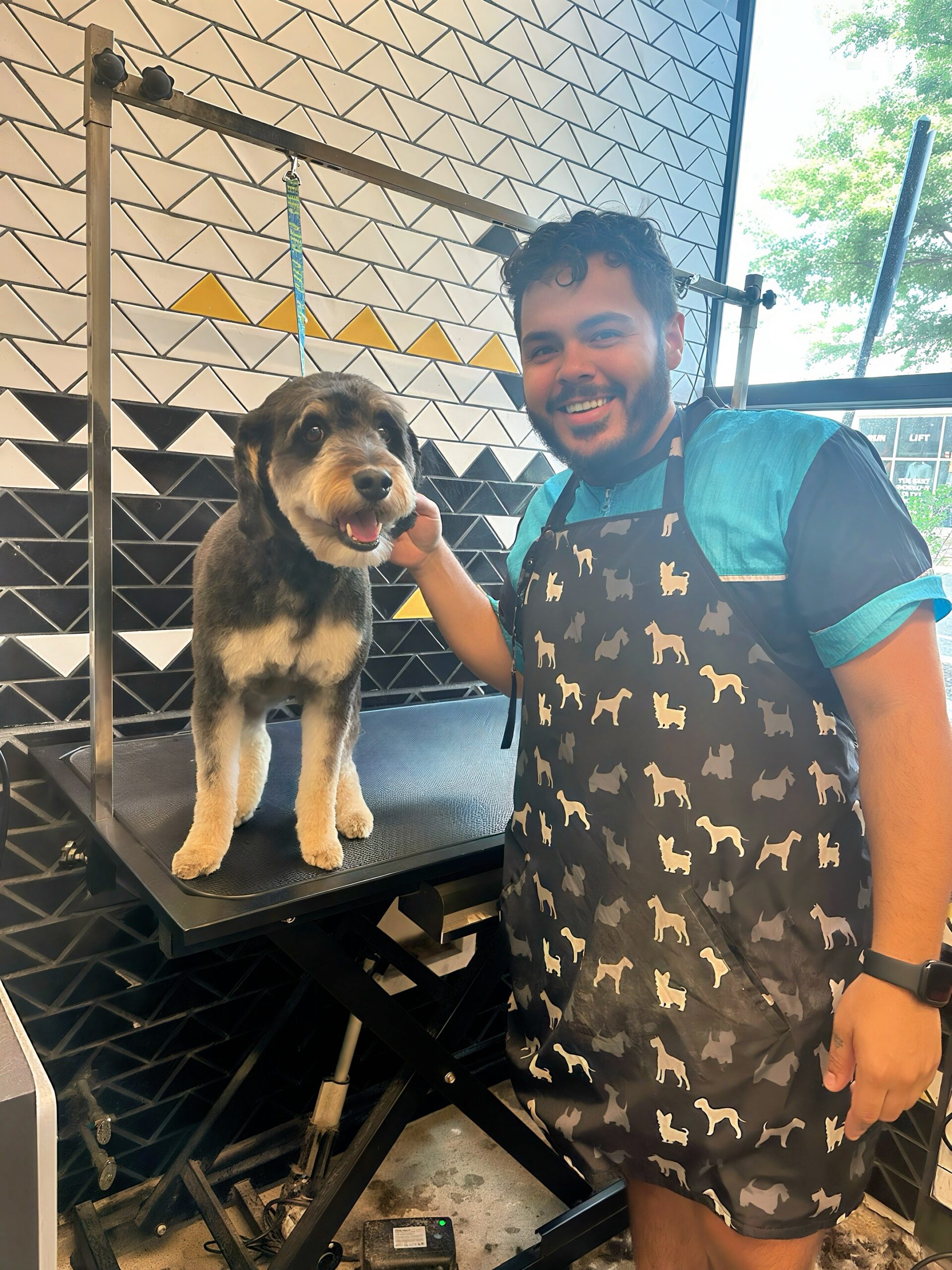 Greg the Groomer Arlington